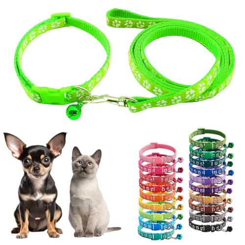 Set mit Halsband und Leine für Kätzchen, hellgrün, Nylon, Pfotenmädchen, niedlich, ausgefallenes Welpenhalsband, Halsumfang 17,8 - 30,5 cm von Teleyi