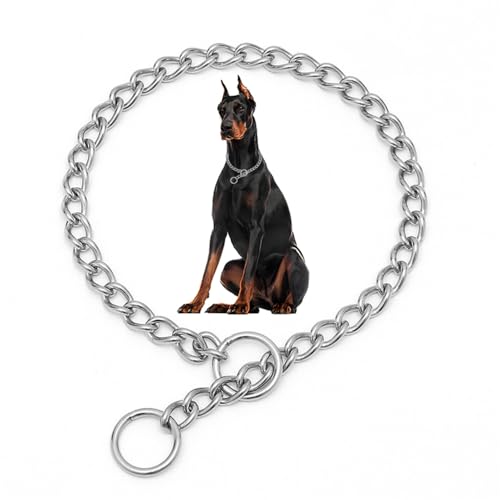 Silbernes Hundehalsband, SUS304 Edelstahl, Metall, Slip-Glieder, Martingale-Halsband, Training, strapazierfähig, für Jungen, Welpen, Halsbänder für XXS, XS, S, M, L, große Rassen, XXS von Teleyi
