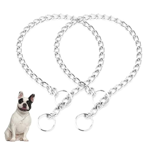 Silver Choke Hundehalsband, Metall, Martingale-Hundehalsband, Training, strapazierfähig, für Jungen, Mädchen, Welpenhalsbänder für XXS, XS, S, M, L, große Rassen, Größe XXS von Teleyi