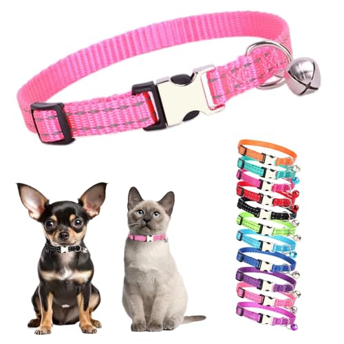 Welpenhalsband mit Glöckchen, reflektierendes Katzenhalsband mit Glöckchen, Metallschnalle, für Mädchen, weiblich, Nylon, mit Glöckchen, für XXS, XS, kleine Kätzchen, Junge, Haustiere, Hunde, 19,1 - von Teleyi