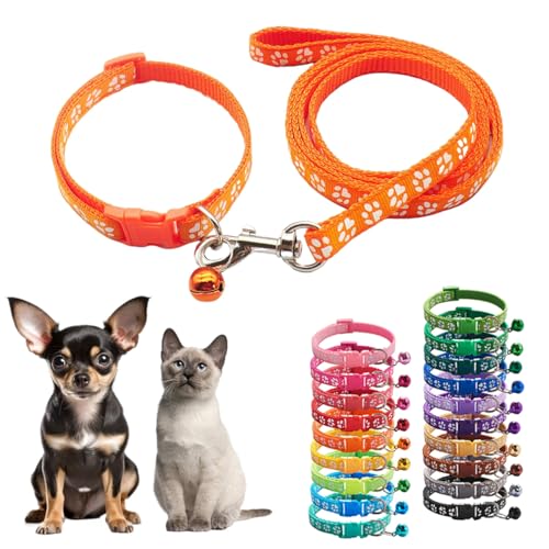 Welpenhalsband und Leine, Set mit Glöckchen, orange, Nylon, Pfotenhalsband, Mädchen, weiblich, niedlich, schick, kleines Hundehalsband mit Glöckchen, für XXS, XS, kleine Kätzchen, Jungen, Haustiere, von Teleyi