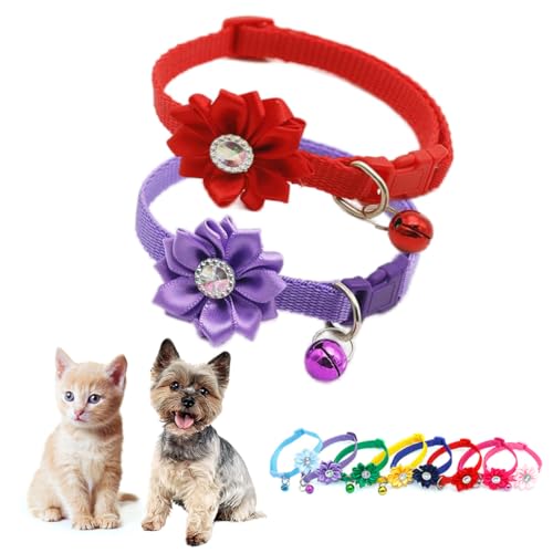 XS Hundehalsband mit Glöckchen, Rot und Lila, Katzenhalsbänder mit Glöckchen, für Mädchen, niedlich, ausgefallenes Blumenmuster, Welpenhalsbänder mit Glöckchen, für XXS, XS, kleine Kätzchen, Hündinnen von Teleyi