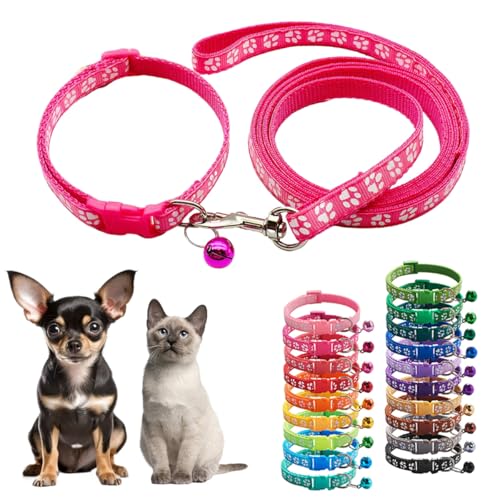 XS Hundehalsband und Leine, Set mit Glöckchen, Nylon, Pfotenhalsband, Mädchen, Damen, niedlich, ausgefallenes Welpenhalsband mit Glöckchen, für XXS, XS, kleine Kätzchen, Jungen, Haustiere, Hunde, von Teleyi