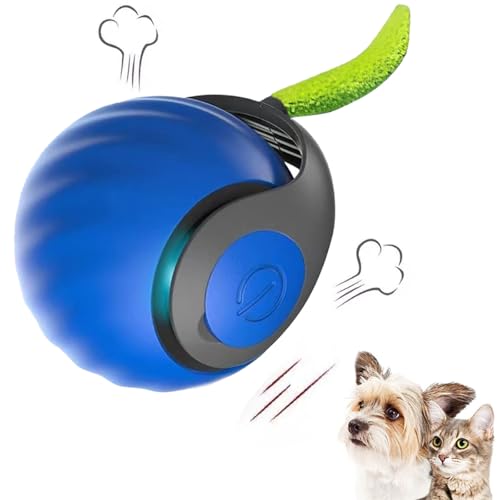 Tencipeda Chase Master Pro Katzenspielzeug, Interaktives Katzenspielzeug, Intelligenzspielzeug Für Katzen (Blue) von Tencipeda