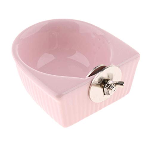 Tenlacum Keramikschale für Vogel/Hamster, Chinchilla, Frettchen, ideal für Käfige und Käfige – Pink (Pink) von Tenlacum