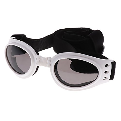 Tenlacum UV-Sonnenbrille für Haustiere, Hunde, Katzen, Windschutz, Weiß #1 von Tenlacum