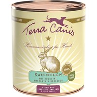 Sparpaket Terra Canis 12 x 800 g - Kaninchen mit Zucchini, Amaranth und Bärlauch von Terra Canis