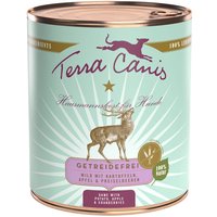 Sparpaket Terra Canis Getreidefrei 12 x 800 g - Wild mit Kartoffeln, Apfel und Preiselbeeren von Terra Canis
