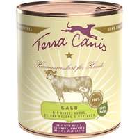 Terra Canis 6 x 800 g - Kalb mit Hirse, Gurke, gelber Melone & Bärlauch von Terra Canis