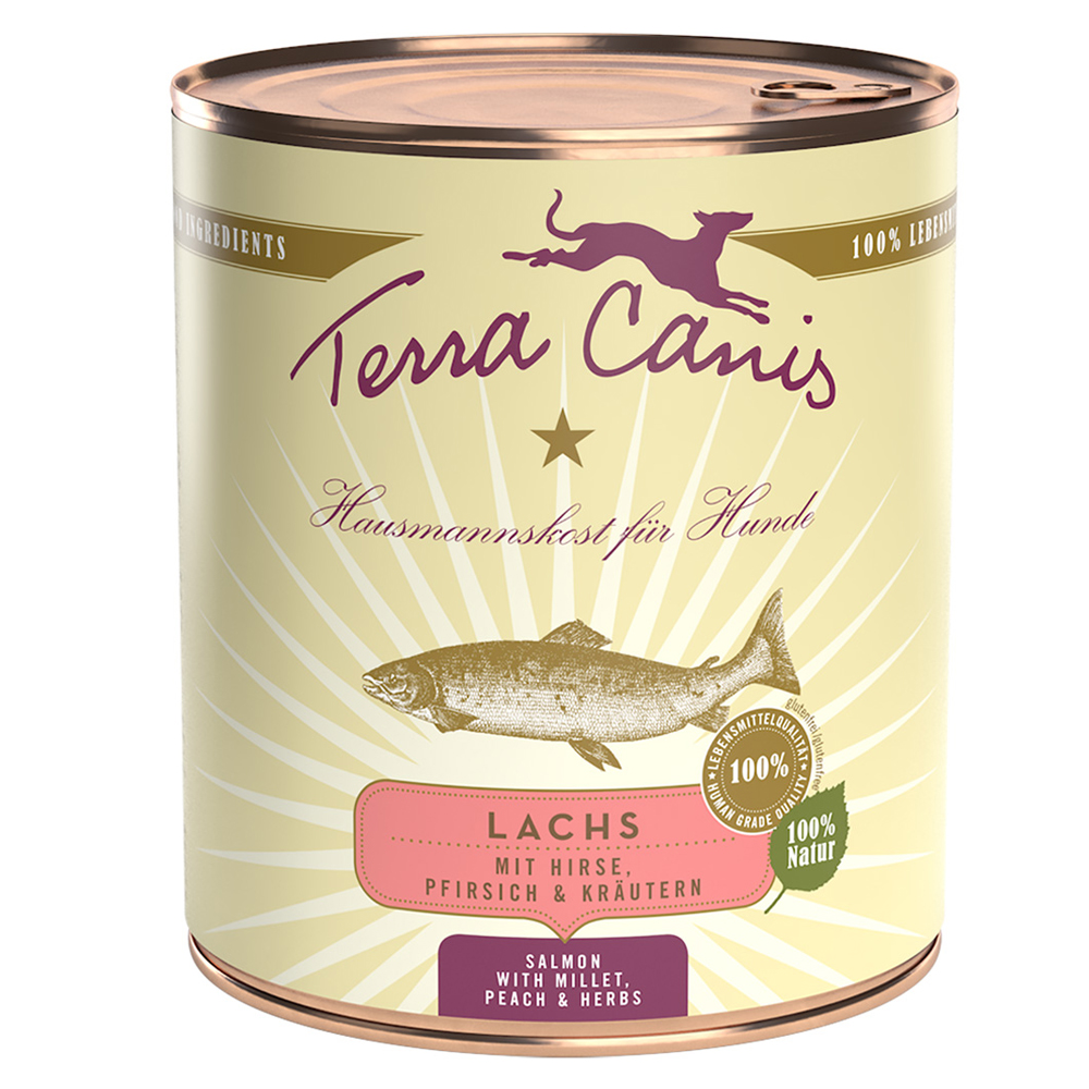 Terra Canis 6 x 800 g - Lachs mit Hirse, Pfirsich und Kräutern von Terra Canis