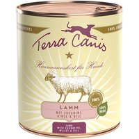 Terra Canis 6 x 800 g - Lamm mit Zucchini, Hirse und Dill von Terra Canis