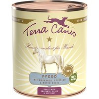 Terra Canis 6 x 800 g - Pferd mit Amaranth, Pfirsich und roter Beete von Terra Canis