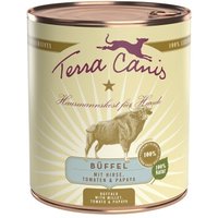 Terra Canis Classic Adult 6x800g Büffel mit Hirse, Tomaten & Papaya von Terra Canis