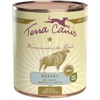Terra Canis Classic Adult 6x800g Büffel mit Hirse, Tomaten und Papaya von Terra Canis