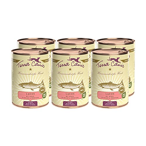 Terra Canis Lachs, Hirse, Pfirsich & Kräuter - Classic Nassfutter, 6x400g I Premium Hundefutter in 100% Lebensmittelqualität aller Rohstoffe I Reichhaltig & gesund, allergen- & getreidearm, glutenfrei von Terra Canis