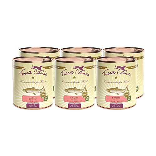 Terra Canis Lachs, Hirse, Pfirsich & Kräuter - Classic Nassfutter, 6x800g I Premium Hundefutter in 100% Lebensmittelqualität aller Rohstoffe I Reichhaltig & gesund, allergen- & getreidearm, glutenfrei von Terra Canis