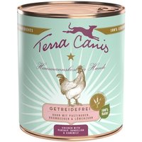 Terra Canis Getreidefrei Adult 6x800g Huhn mit Pastinaken, Brombeeren und Löwenzahn von Terra Canis