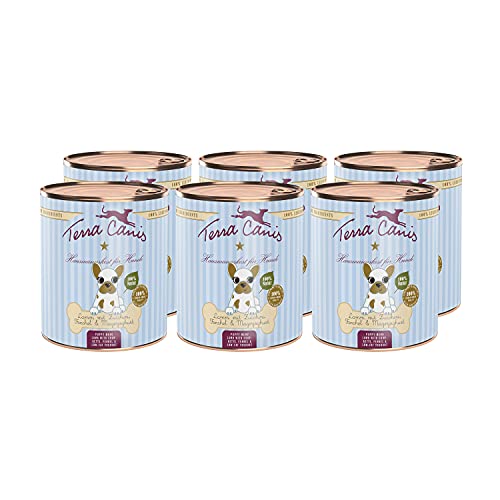 Terra Canis Lamm, Zucchini, Magerquark & Fenchel - Welpen Nassfutter, 6x800g I Premium Hundefutter in 100% Lebensmittelqualität Aller Rohstoffe I Reichhaltig & gesund I Getreide - & glutenfrei Terra Canis Lamm, Zucchini, Magerquark & Fenchel - Welpen Nassfutter, 6x800g I Premium Hundefutter in 100% Lebensmittelqualität Aller Rohstoffe I Reichhaltig & gesund I Getreide - & glutenfrei von Terra Canis