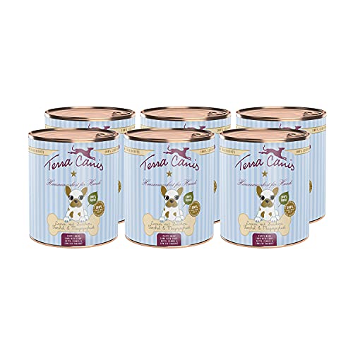 Terra Canis Lamm, Zucchini, Magerquark & Fenchel - Welpen Nassfutter, 6x800g I Premium Hundefutter in 100% Lebensmittelqualität aller Rohstoffe I Reichhaltig & gesund I Getreide - & glutenfrei von Terra Canis