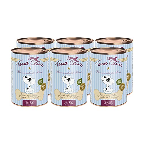 Terra Canis Rind, Apfel, Hagebutte & Karotte - Welpen Nassfutter, 6x400g I Premium Hundefutter in 100% Lebensmittelqualität Aller Rohstoffe I Reichhaltig & gesund I Allergenarm, Getreide & glutenfrei von Terra Canis