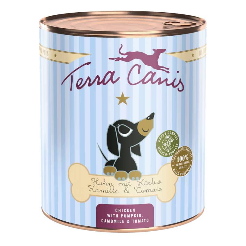 Terra Canis Welpenmenü 6 x 800 g - Huhn mit Kürbis, Kamille & Tomate Terra Canis Welpenmenü 6 x 800 g - Huhn mit Kürbis, Kamille & Tomate von Terra Canis