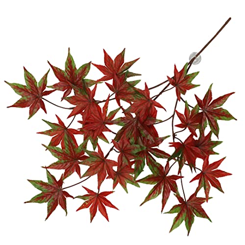 Terra Della, Hängepflanze Cannabis, 65 x 40 x 5 cm, Rot, Reptilien, Rot von Terra Della