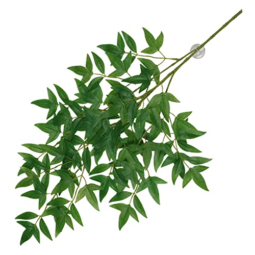 Terra Della, Hängepflanze Nandina 65 x 35 x 1,5 cm, Grün, Reptilien, Grün Terra Della, Hängepflanze Nandina 65 x 35 x 1,5 cm, Grün, Reptilien, Grün von Terra Della