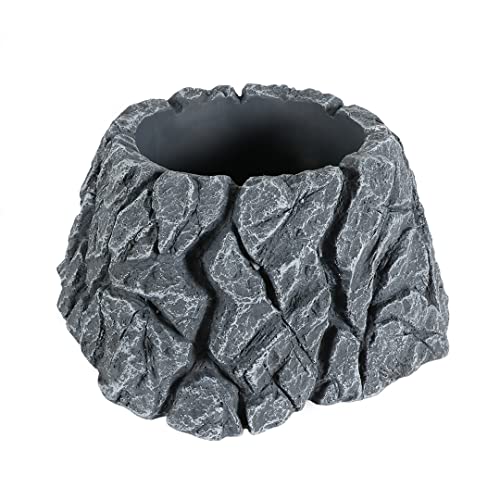 Terra Della, Ständer für Futterpflanzen, 23,8 x 23,3 x 11,5 cm, Dekoration für Golliwoog, wasserdicht, robust Dank Seiner Breiten Form, hergestellt aus Polyesterharz, ungiftig und pH-neutral Terra Della, Ständer für Futterpflanzen, 23,8 x 23,3 x 11,5 cm, Dekoration für Golliwoog, wasserdicht, robust Dank Seiner Breiten Form, hergestellt aus Polyesterharz, ungiftig und pH-neutral von Terra Della