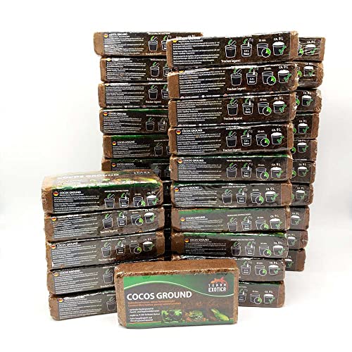 Cocos Ground - Kokoshumus für Terrarien - ca. 324 Liter lockerer Humus - Einstreu für Amphibien, Reptilien und Wirbellose - Humusziegel Bodengrund - gepresste Blumenerde aus Kokosfaserhumus (36x650g) von Terra Exotica
