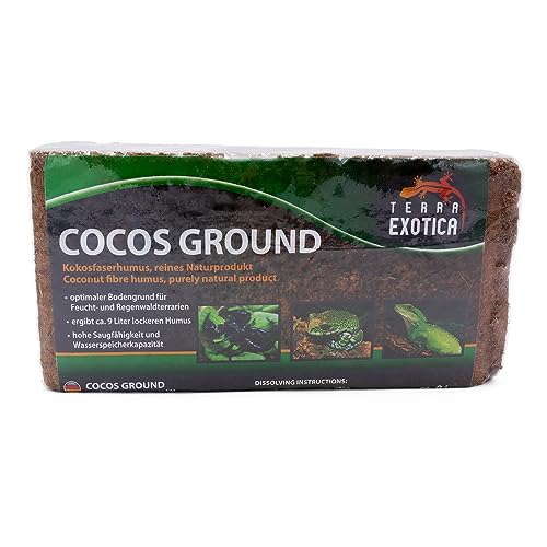 Cocos Ground - Kokoshumus für Terrarien - ca. 9 Liter lockerer Humus - Einstreu für Amphibien, Reptilien und Wirbellose - Humusziegel Bodengrund - gepresste Blumenerde aus Kokosfaserhumus (1x 650 g) von Terra Exotica