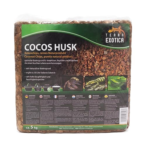 Cocos Husk Brick ca. 5 Kg - grob, gepresster Humusziegel als Terrarienboden für Reptilien und Amphibien, 1 Ziegel Kokoschips ergibt ca. 55 Liter lockeres Substrat von Terra Exotica