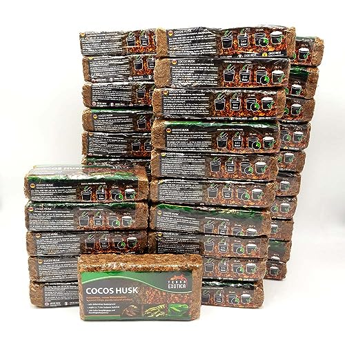 Cocos Husk Brick ca. 500g - grob, gepresster Humusziegel als Terrarienboden für Reptilien und Amphibien, 1 Ziegel ergibt ca. 7 Liter lockeres Substrat (36 Stück - 252 Liter) von Terra Exotica