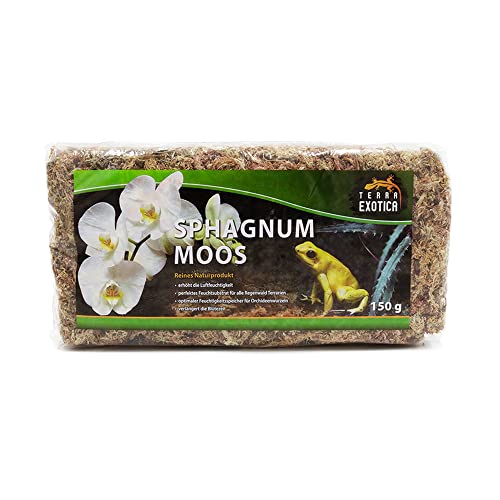 Sphagnum Moos 150 g, Spagnum Moos Terrarienmoos Orchideen Moos von Terra Exotica