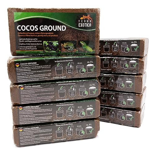 Cocos Ground - Kokoshumus für Terrarien - ca. 90 Liter lockerer Humus - Einstreu für Amphibien, Reptilien und Wirbellose - Humusziegel Bodengrund - gepresste Blumenerde aus Kokosfaserhumus (10x 650g) von Terra Exotica
