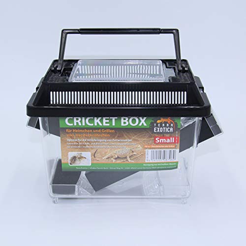 Terra Exotica Cricket Box - in Small oder Large - Transportbox für Reptilien - Fauna Box für Heimchen und Grillen zur Zucht (small 18 x 11 x 14 cm) von Terra Exotica
