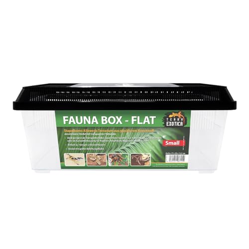 Terra Exotica Fauna Box Flat Transportbox für Reptilien, Amphibien, Insekten, Mäuse - Zuchtbox für Heimchen und Grillen - Faunarium (Small - 37x22x15,2 cm) von Terra Exotica