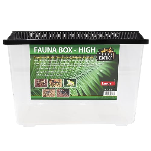 Fauna Box High (High, Large) - Transportbox/Quarantäneterrarium für z.B. Reptilien, Amphibien, Kaninchen, Mäuse, Vögel - Allzweckbehälter Fauna Box High (High, Large) - Transportbox/Quarantäneterrarium für z.B. Reptilien, Amphibien, Kaninchen, Mäuse, Vögel - Allzweckbehälter von Terra Exotica