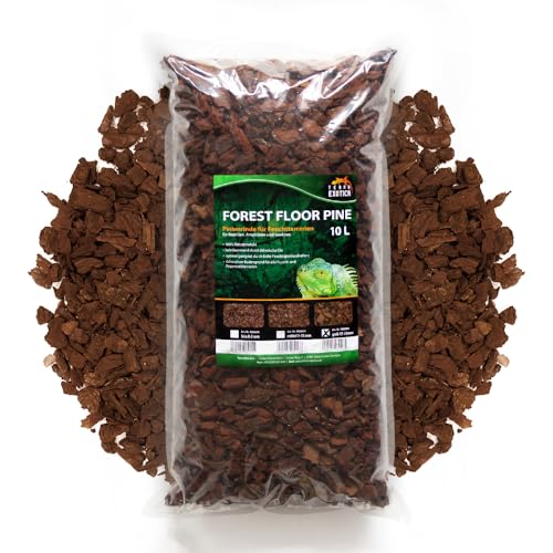 Terra Exotica Forest Floor Pine 10L - Pinie grob 10-25 mm - Pinienrinde als Einstreu für Terrarien - Terrarienbodengrund für Reptilien, Amphibien und Insekten von Terra Exotica