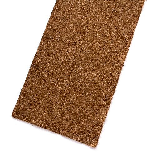 Terra Exotica Kokosfasermatte 100 x 50 cm - Inhalt 0,5 qm - Terrarienrückwand aus Kokosfaser von Terra Exotica