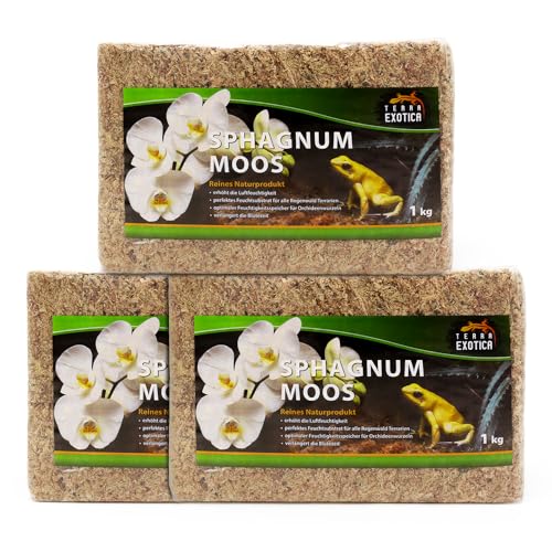 Terra Exotica Sphagnum Moos (3x1 Kg) Torfmoos für Garten-, Zimmerpflanzen & Terrarien von Terra Exotica