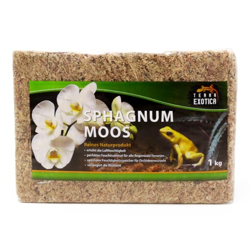 Terra Exotica Sphagnum Moos (1 Kg) Torfmoos für Garten-, Zimmerpflanzen & Terrarien Terra Exotica Sphagnum Moos (1 Kg) Torfmoos für Garten-, Zimmerpflanzen & Terrarien von Terra Exotica