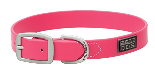 Terrain D.O.G. Brahma Webb Hundehalsband, 63,5 x 2,5 cm, Hot Pink Terrain D.O.G. Brahma Webb Hundehalsband, 63,5 x 2,5 cm, Hot Pink von Terrain D.O.G.