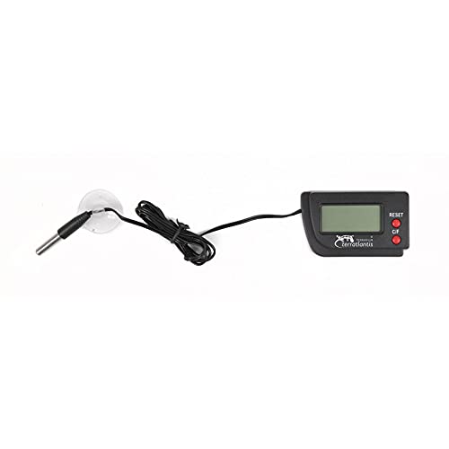 DIGITAL Thermometer von Terratlantis