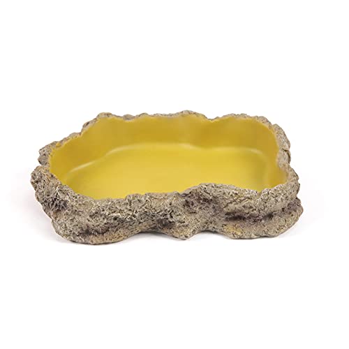 Terratlantis TD Feeder Shape 1 25Cm Terratlantis TD Feeder Shape 1 25Cm von Terratlantis