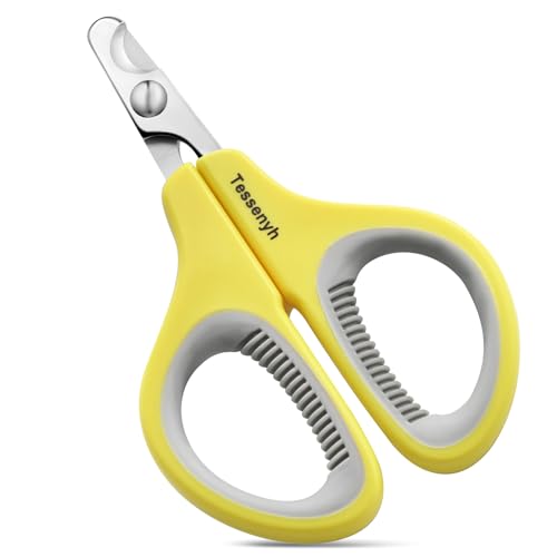Tessenyh Katzennagelknipser, professioneller Krallentrimmer aus Edelstahl für Katzen, Welpen, Kaninchen, Vögel und kleine Rassen, sicher, effektiv und einfach zu bedienen Tessenyh Katzennagelknipser, professioneller Krallentrimmer aus Edelstahl für Katzen, Welpen, Kaninchen, Vögel und kleine Rassen, sicher, effektiv und einfach zu bedienen von Tessenyh