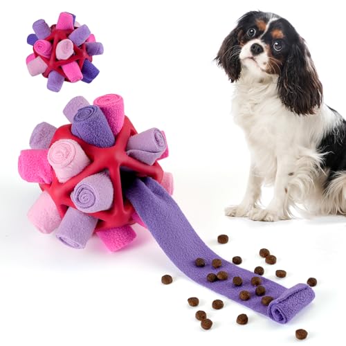Tesytto Snuffle Ball Hundespielzeug, interaktives Haustier-Doy, fördert natürliche Futtersuchfähigkeiten, langsames Essen, tragbares Haustierspielzeug (Fantasie-Lila) von Tesytto
