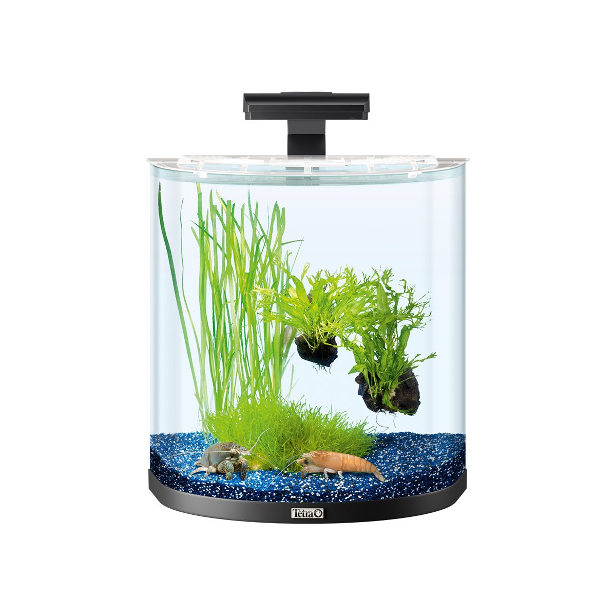 Tetra AquaArt Explorer Line Halfmoon Komplett-Set 30l anthrazit Tetra AquaArt Explorer Line Halfmoon Komplett-Set 30l anthrazit von Tetra