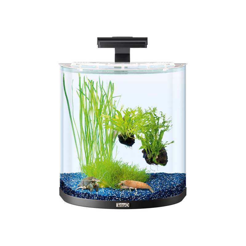 Tetra AquaArt Explorer Line Halfmoon Komplett-Set 30l anthrazit von Tetra