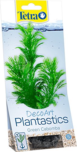Tetra DecoArt künstliche Wasser-Pflanzen für das Aquarium, naturgetreue Nachbildung, Green Cabomba Tetra DecoArt künstliche Wasser-Pflanzen für das Aquarium, naturgetreue Nachbildung, Green Cabomba von Tetra