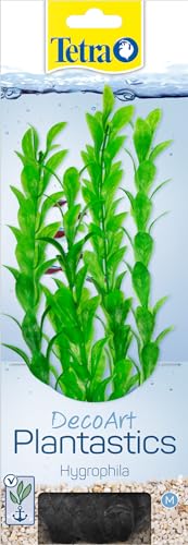 Tetra DecoArt künstliche Wasser-Pflanzen für das Aquarium, naturgetreue Nachbildung, Grüne Hygrophila von Tetra